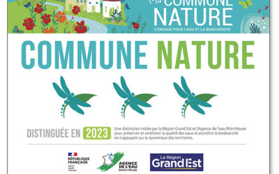 Obtention d&rsquo;une 3ème libellule : nouvelle récompense pour Jarville-la-Malgrange