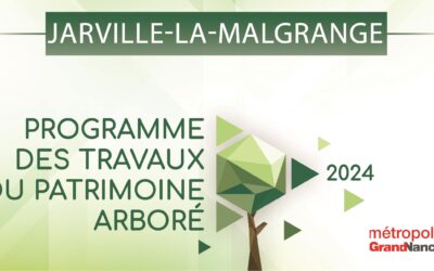 Entretien du patrimoine arboré de la commune