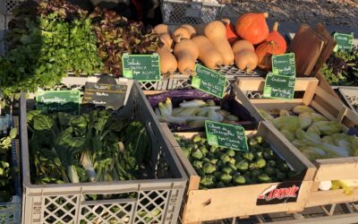 Marché « Place à VivreS »